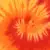 BLAZE TIE DYE